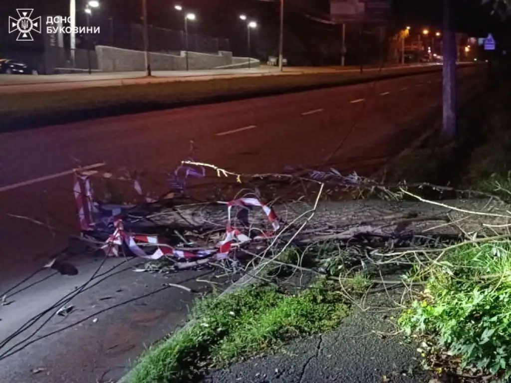 У Чернівцях повалене дерево заблокувало дорогу та пошкодило електропроводи