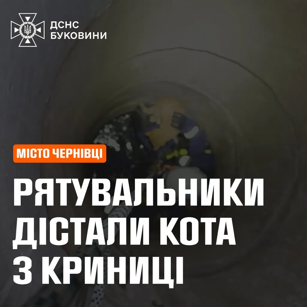 У Чернівцях рятувальники спустилися в криницю, щоб визволити кота