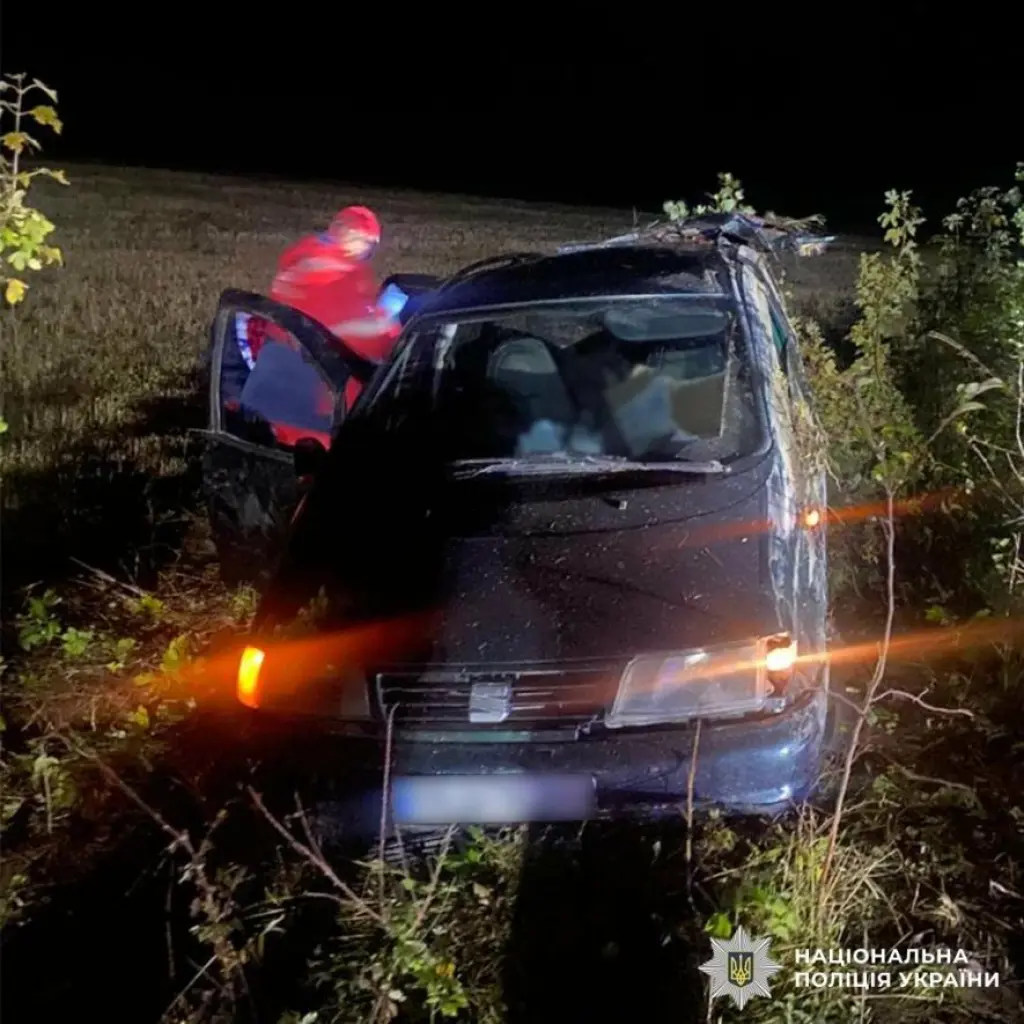 На Буковині автомобіль з’їхав у кювет: травмована водійка потрапила до лікарні