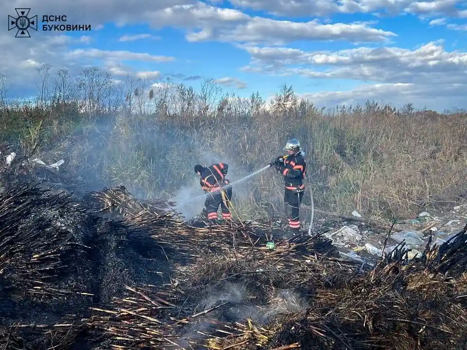 На Буковині рятувальники загасили пожежу сміття у Зеленому Гаю
