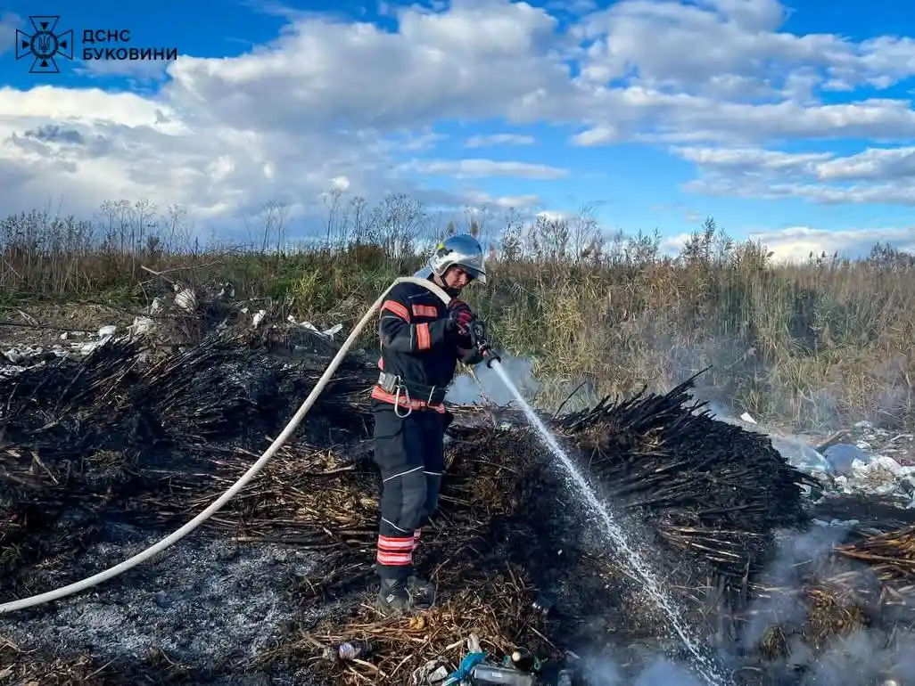 На Буковині рятувальники загасили пожежу сміття у Зеленому Гаю