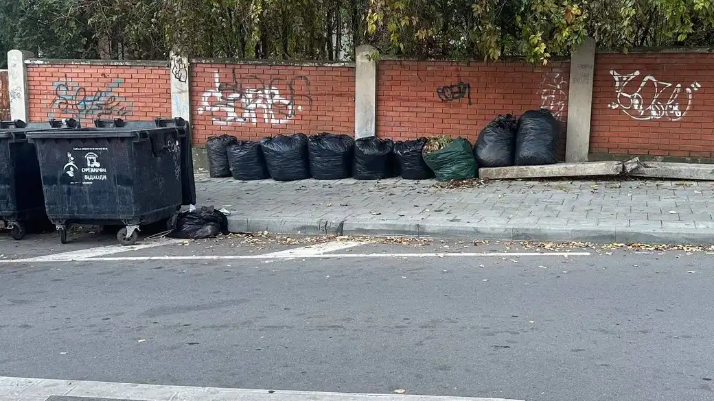 У Чернівцях дозволили залишати опале листя біля контейнерів: куди воно потрапляє