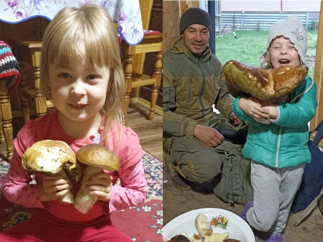 Буковинець із 30-річним стажем грибництва: за один похід приносить понад 50 кілограмів трофеїв