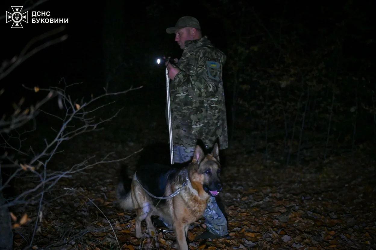 На Буковині рятувальники шукали жінку, яка заблукала в лісі разом із чоловіком