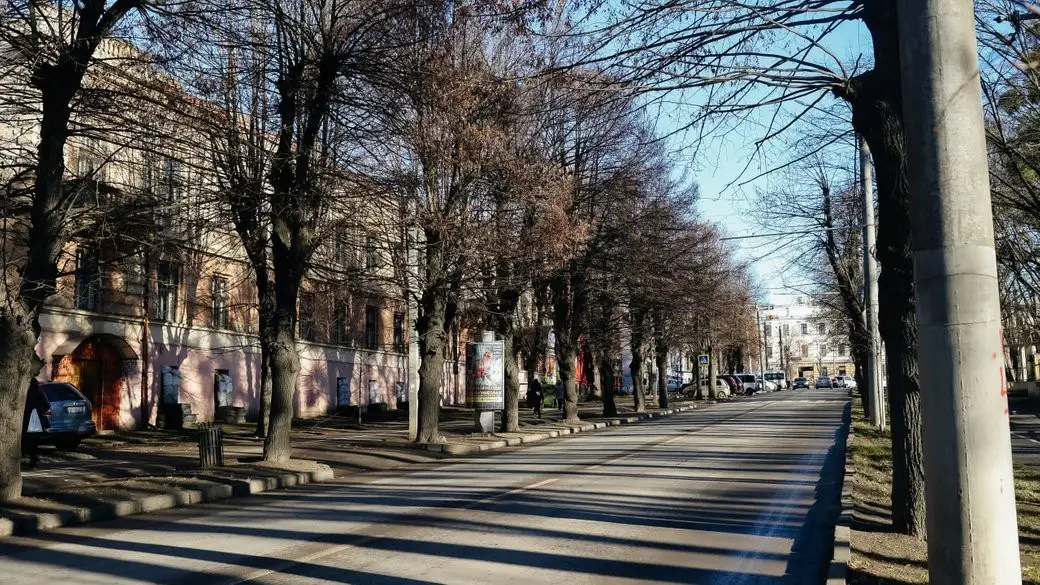 Погода у Чернівцях та області 18 листопада: дощ і прохолодна температура