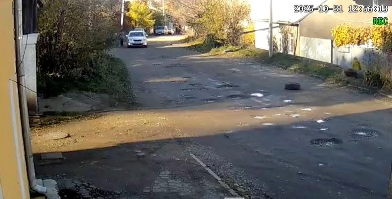 У Чернівцях шукають винних у ймовірному отруєнні двох собак: поліція відкрила провадження