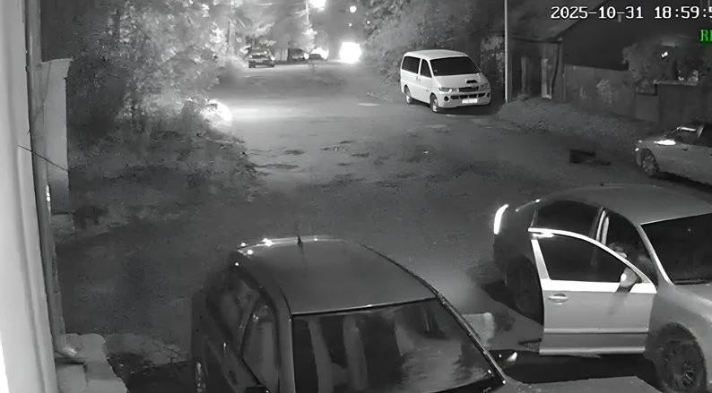 У Чернівцях шукають винних у ймовірному отруєнні двох собак: поліція відкрила провадження