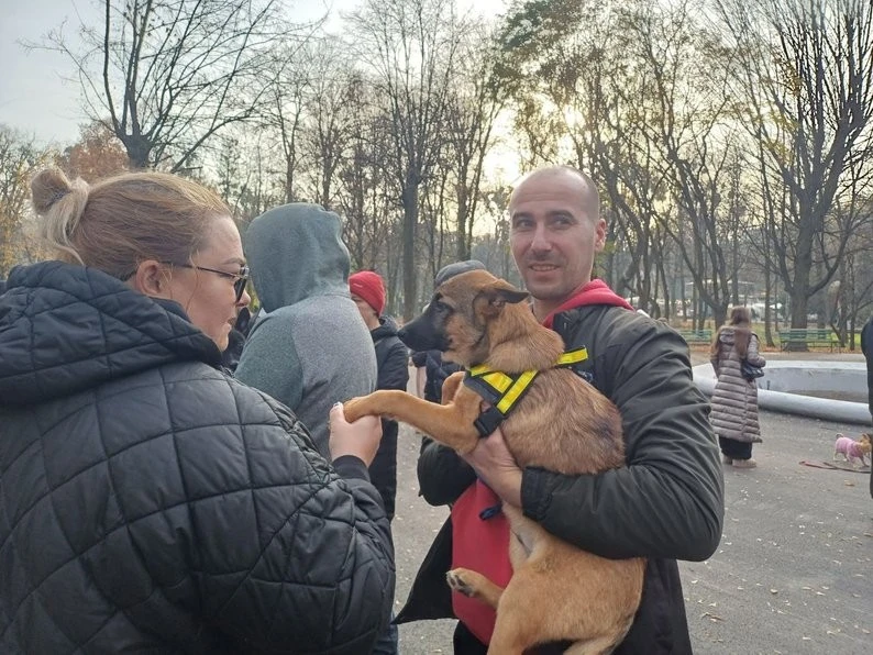 У Чернівцях з виставок додому поїхали два десятки безпритульних собак