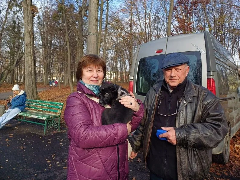 У Чернівцях з виставок додому поїхали два десятки безпритульних собак