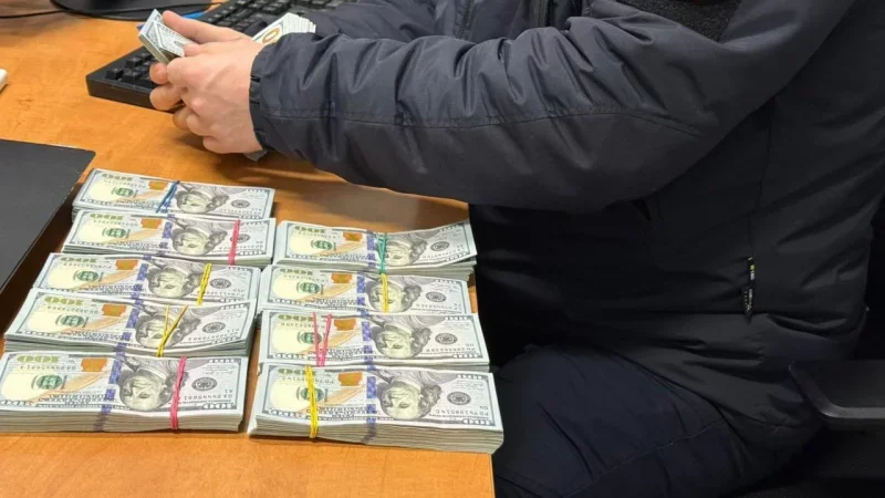 На кордоні з Румунією зупинили жінку, яка приховала під одягом 100 тис. доларів