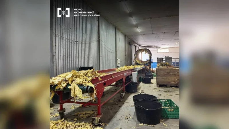 На Буковині викрили масштабний нелегальний тютюновий цех