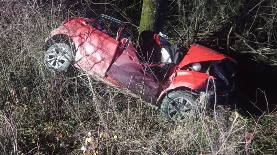 На Буковині в аварії загинули водійка та немовля: попередні дані поліції