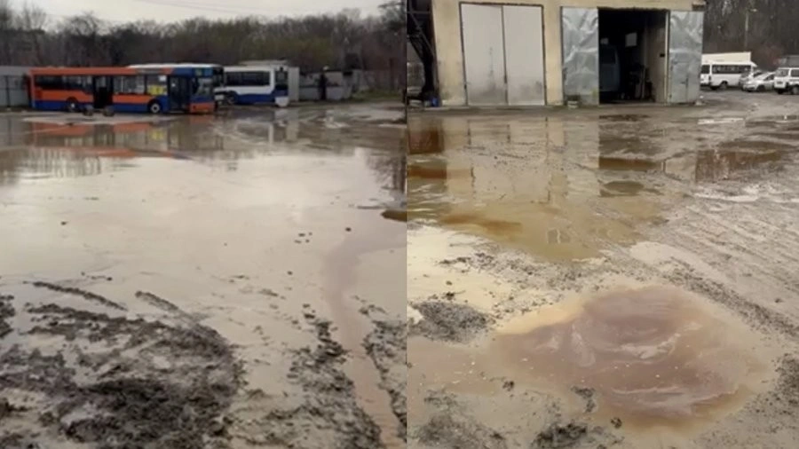 У Чернівцях та Мамаївцях розслідують два інциденти, пов’язані зі скидами нечистот