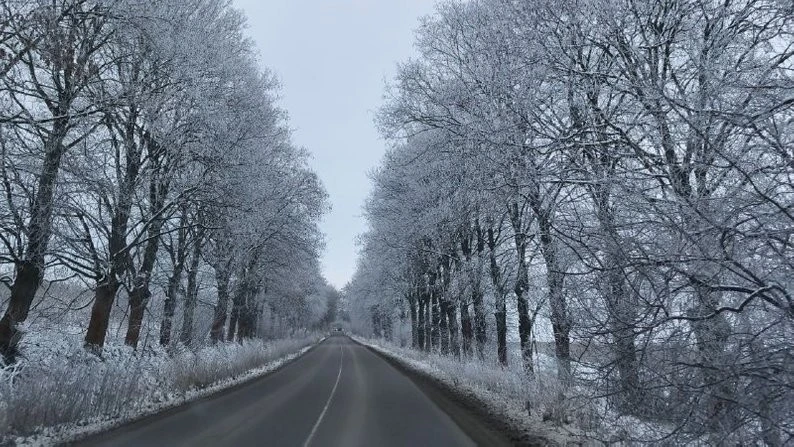 Сніг, ожеледиця та пориви вітру: прогноз погоди для Чернівців на 29 грудня