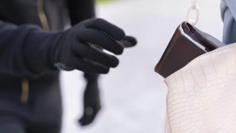 У Чернівцях поліція затримала 24-річну жінку за крадіжку гаманця