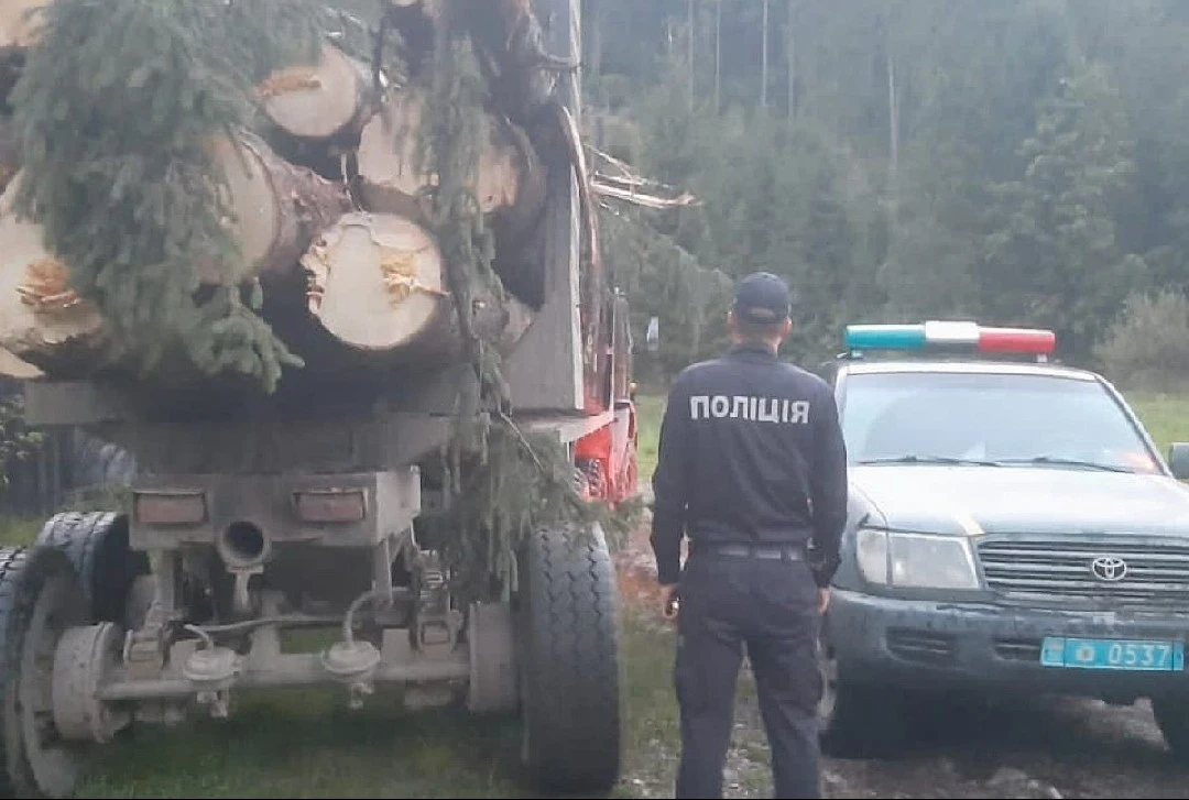 Земельне “задзеркалля” Буковини: новий очільник ОВА успадковує шлейф правового нігілізму та лісових конфліктів