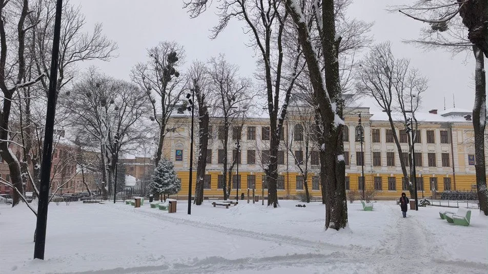 Ожеледиця та змішані опади: синоптики попередили про погіршення погоди на Буковині
