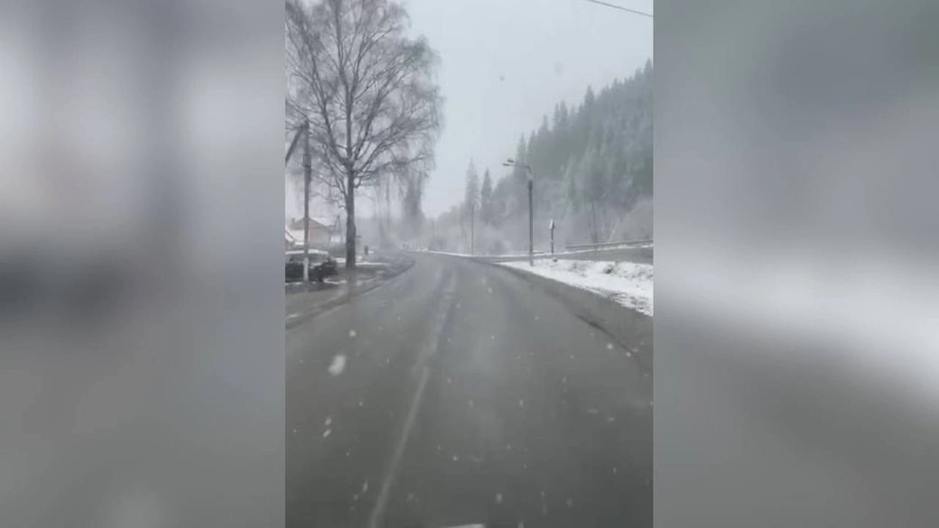 Квітнева зима на Буковині: Вижниччину засипало снігом, а область готується до заморозків