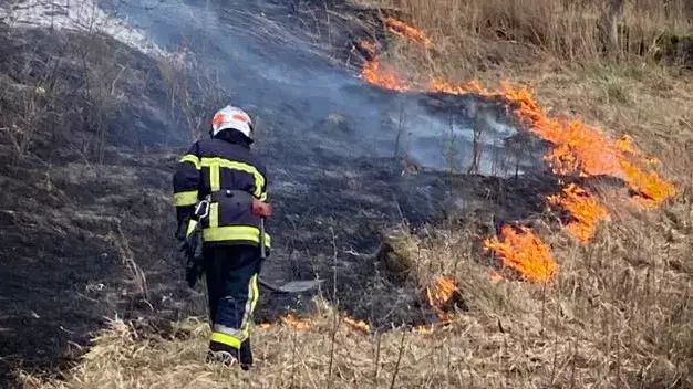 Вогняна весна на Буковині: область потерпає від масових підпалів сухостою