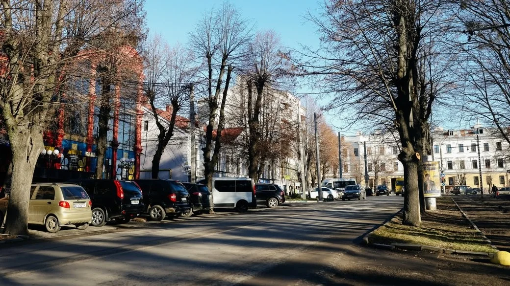 Штормові пориви та опади: синоптики дали прогноз для Буковини на 23 квітня