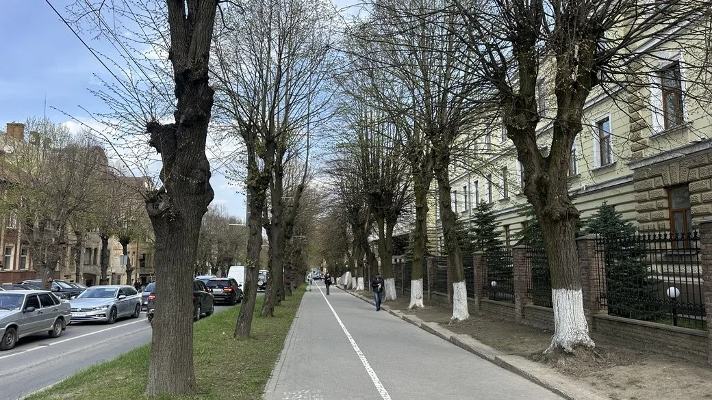 Сухо та до +19: прогноз погоди на 25 квітня у Чернівецькій області