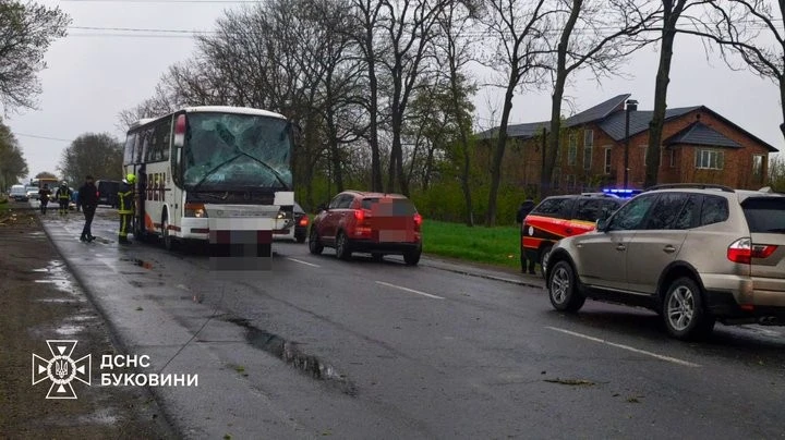Пориви вітру на Буковині повалили дерево на дорогу та пошкодили автобус з дітьми