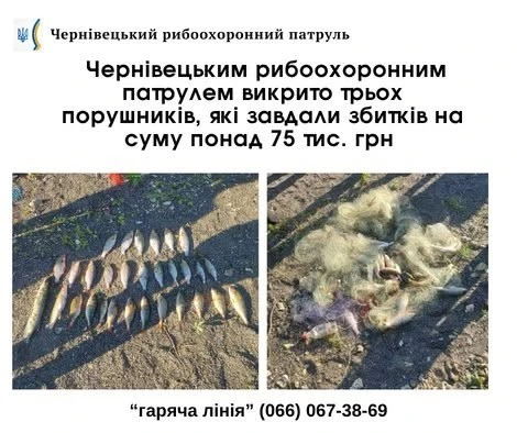 Рибоохоронці Буковини затримали браконьєрів із великим уловом