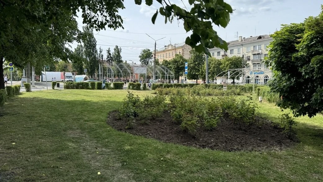Прогноз синоптиків на 16 червня для Чернівеччини