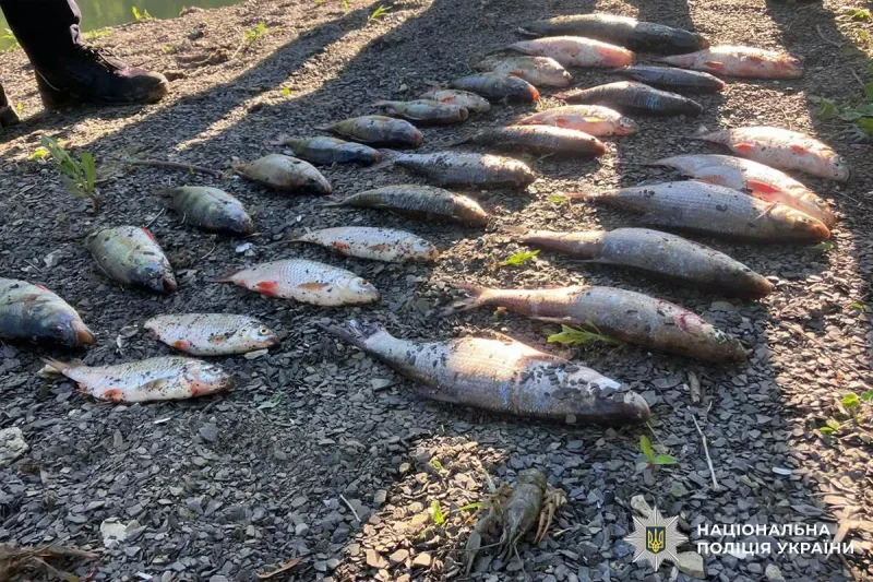 Понад 250 тисяч гривень збитків: на Дністровському водосховищі викрили браконьєра