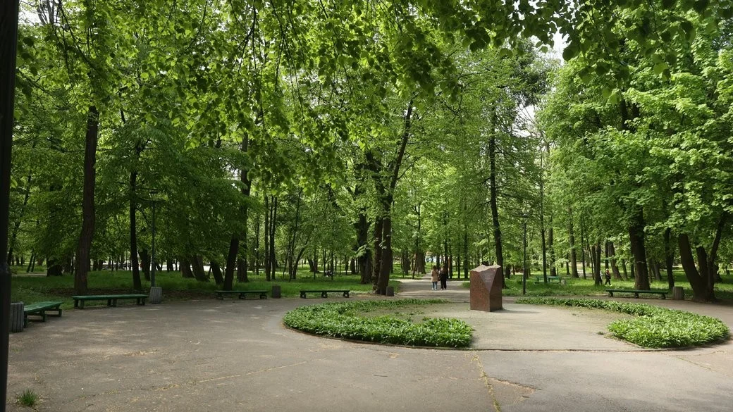 Парасольки не завадять: мешканців Буковини попереджають про літні грози та зниження температури